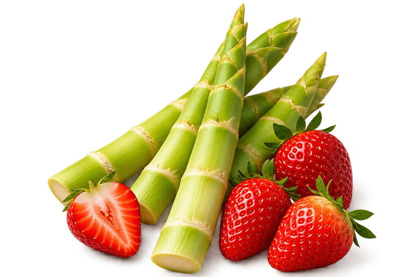 Bamboo Shoot Extract