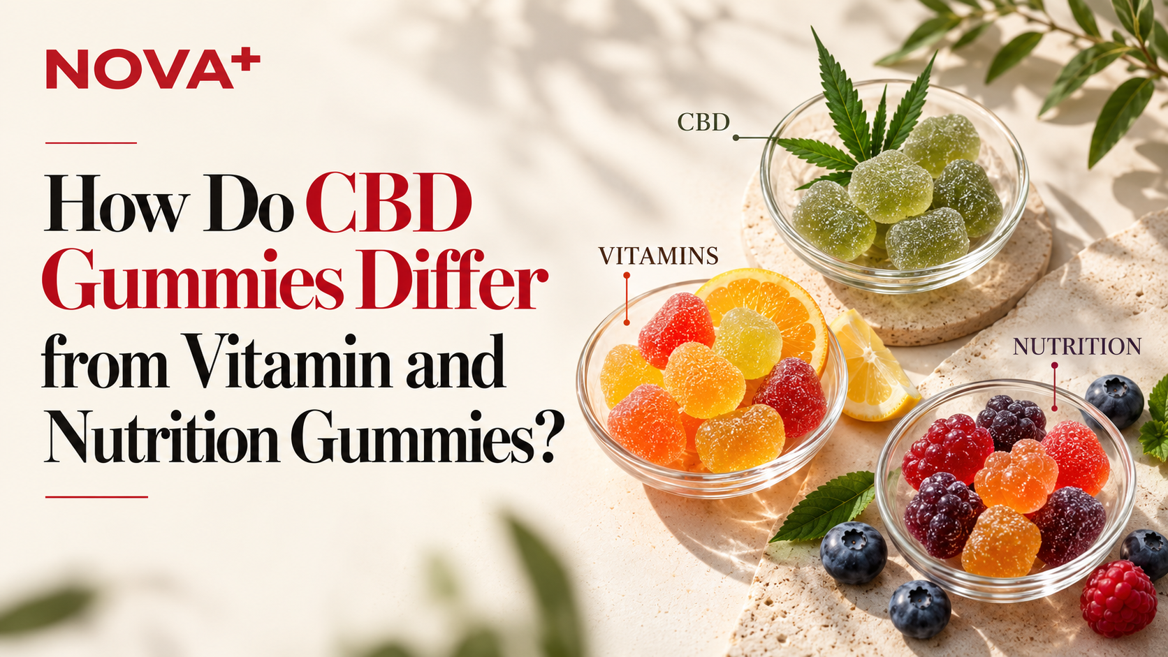 CBD gummies compared with vitamin and nutrition gummies in an educational wellness guide